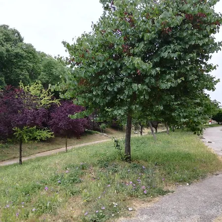 Lucrezia Romana Apartament شقة *