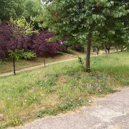 شقة Lucrezia Romana Apartament *